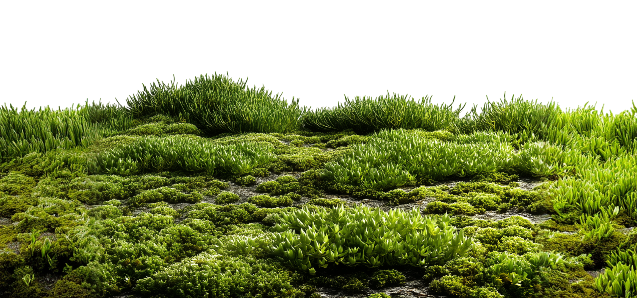 Green moss landscape
