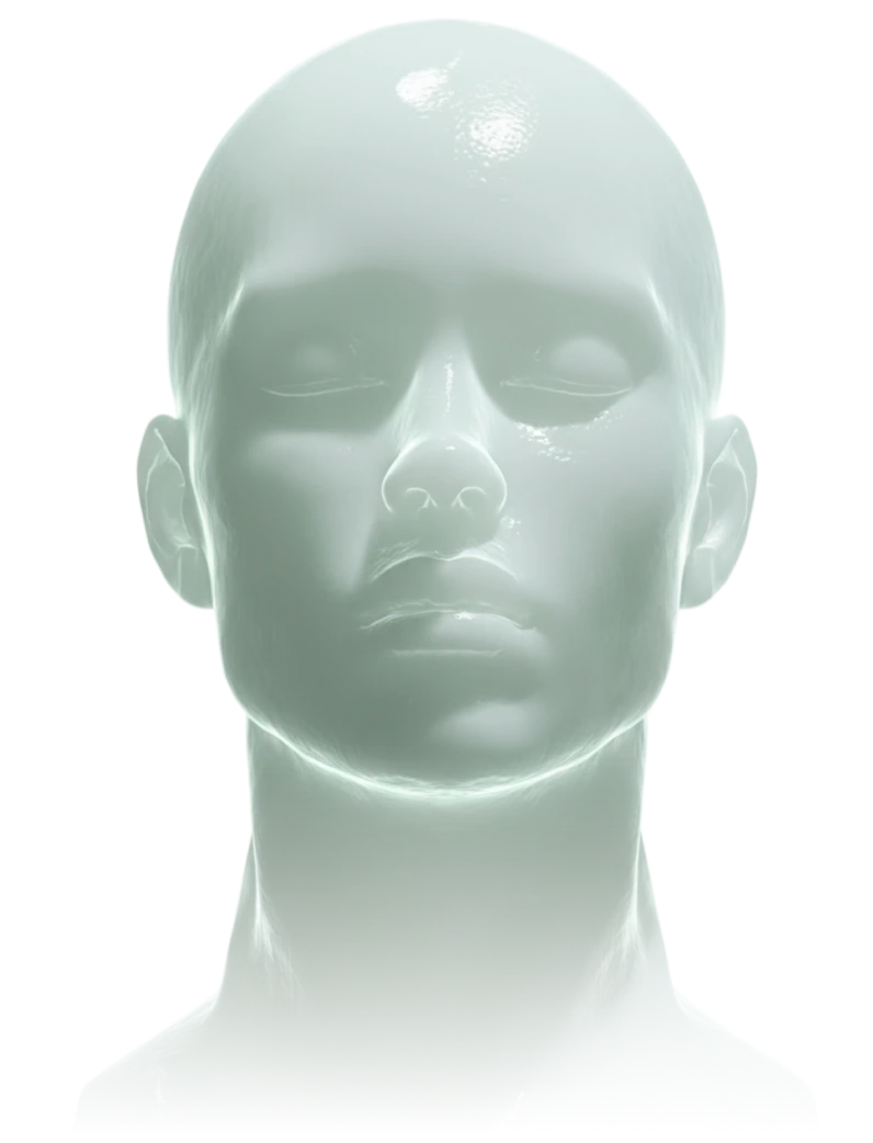 AI skin mapping visualization